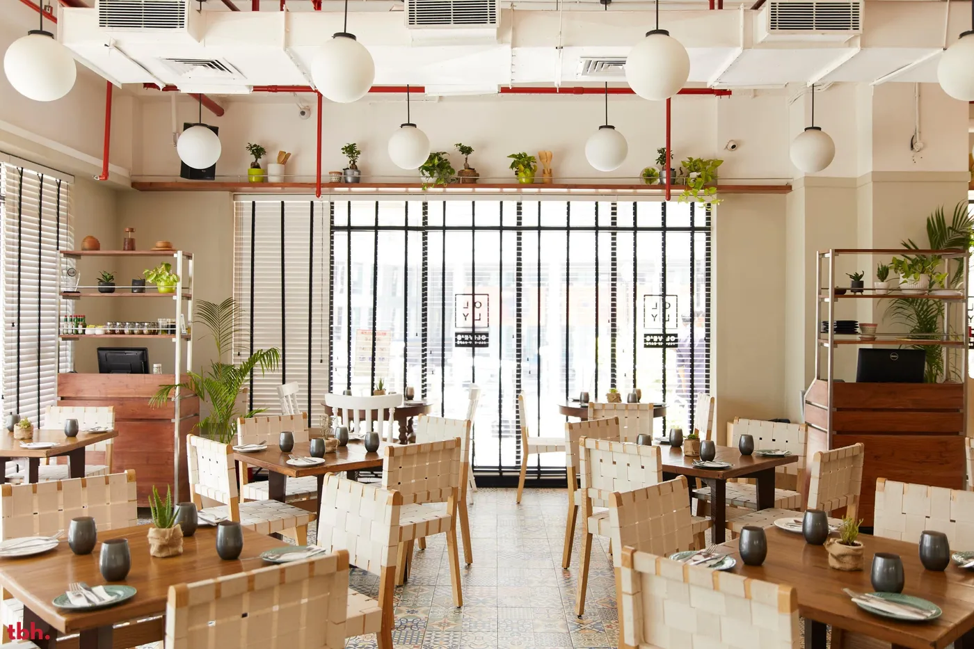 OLLY - Olive's All Day Cafe & Bar outlet image