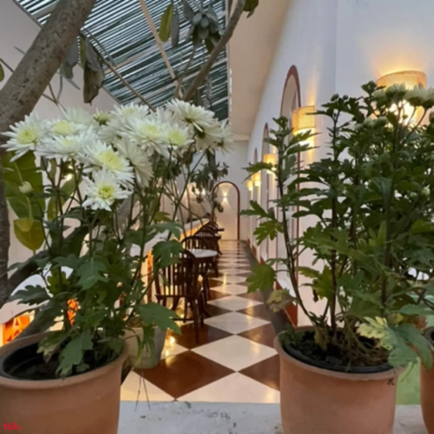 Roastery Coffee House Outlet Image