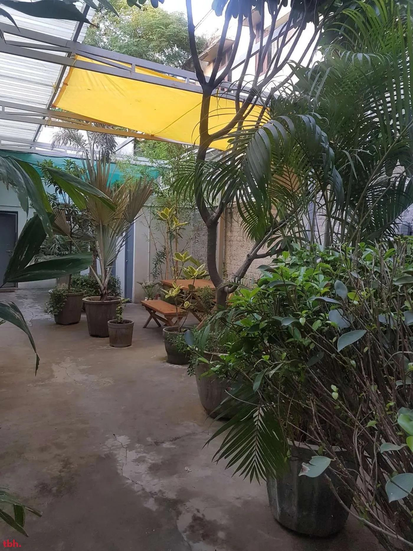 Poochki Table Outlet Image