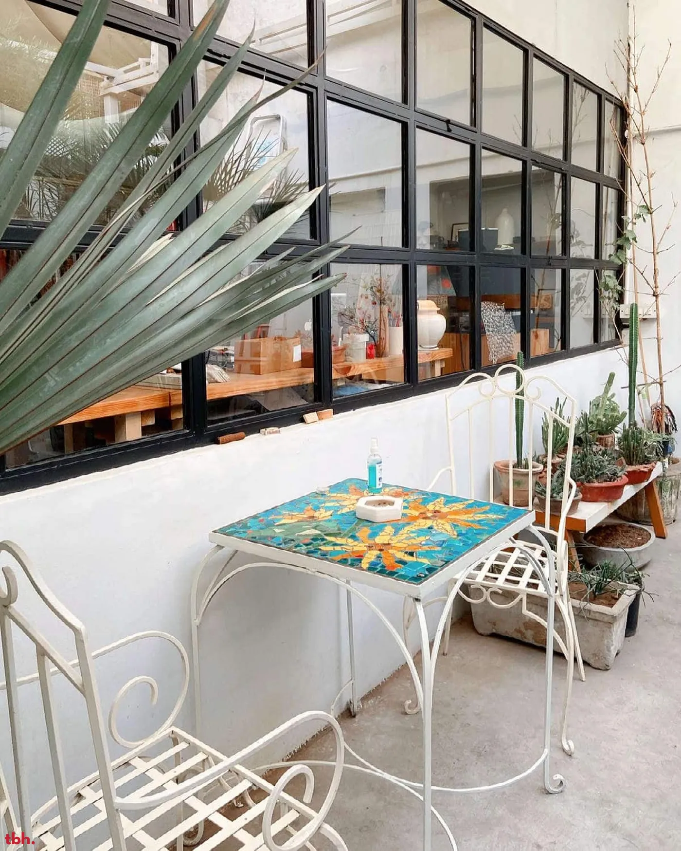 Poochki Table Outlet Image