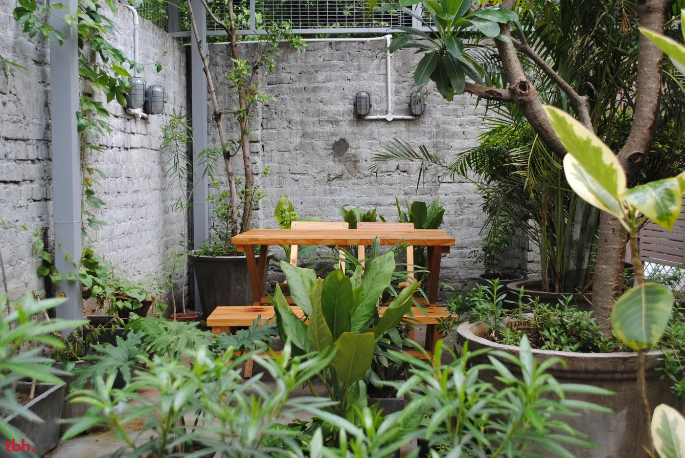 Poochki Table Outlet Image