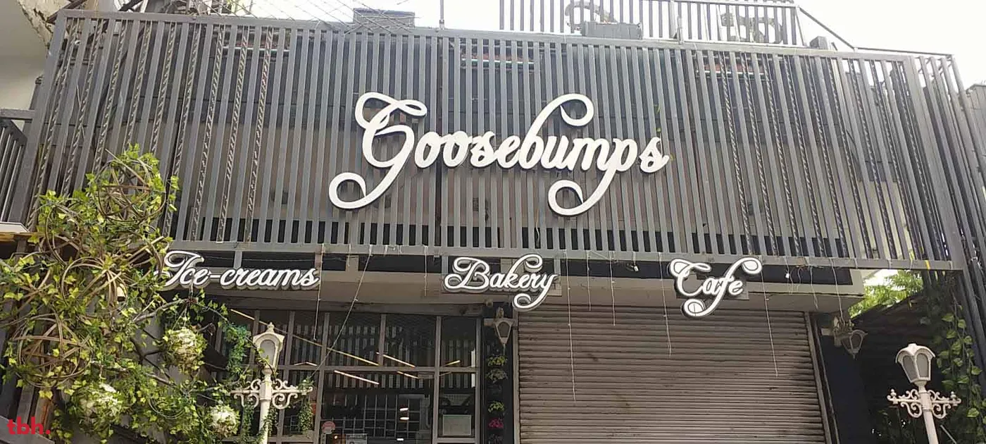 Goosebumps Outlet Image