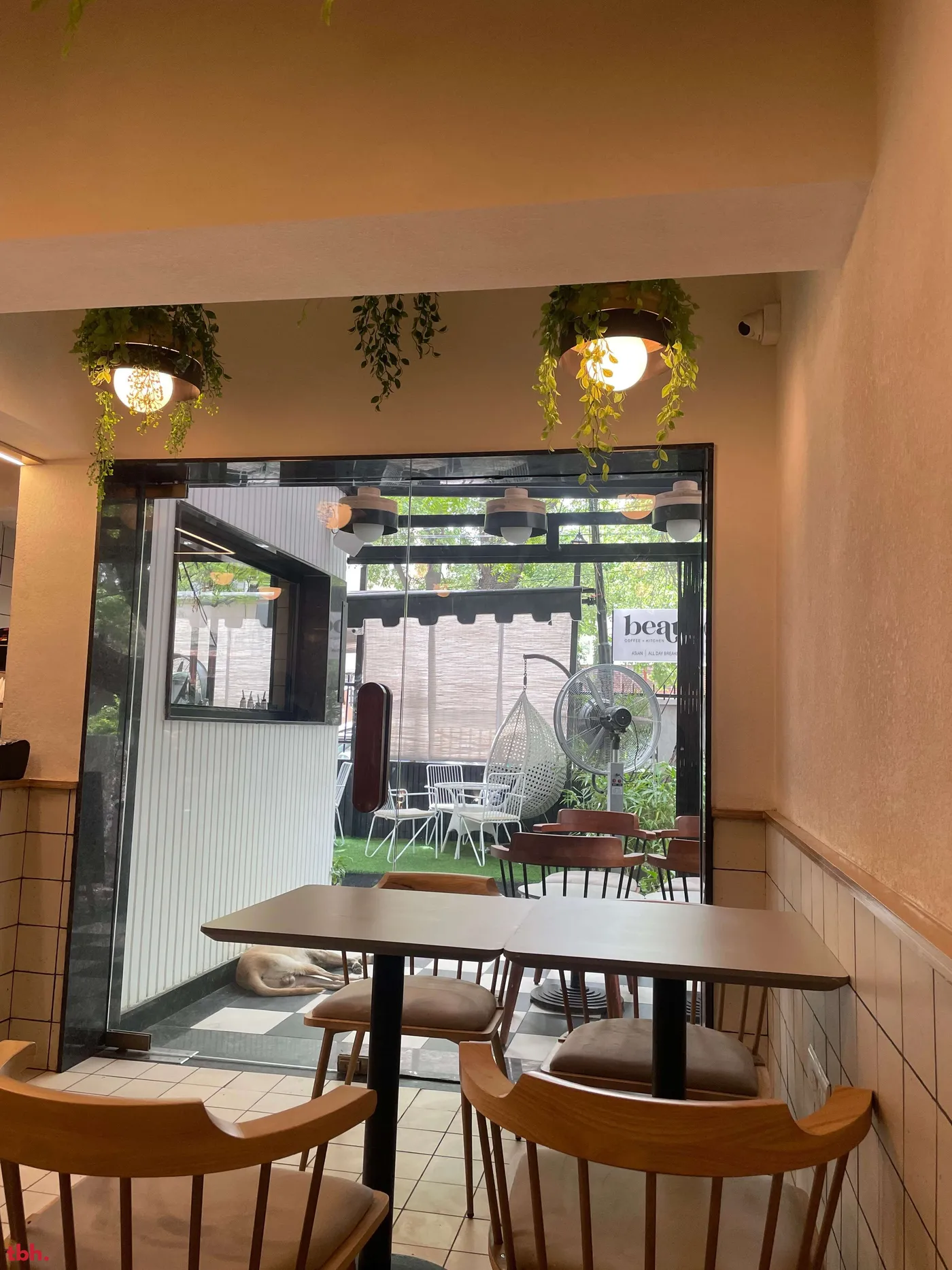 Bean & Coffee Kitchen Outlet Image