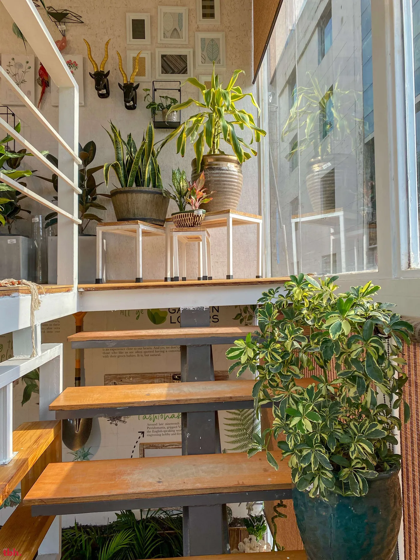 Garden Lovers Botanical Boutique & Cafe Outlet Image