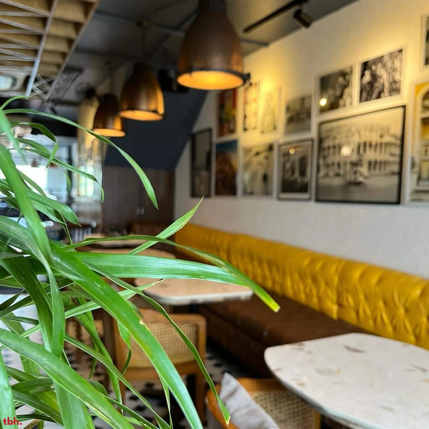 Cafe Parmesan Outlet Image