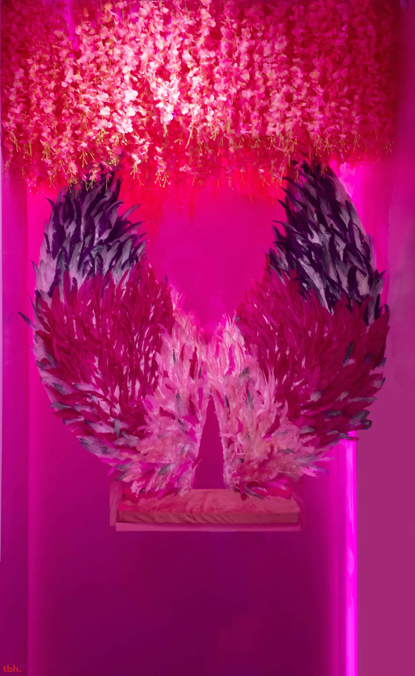 Catch 39 Outlet Image