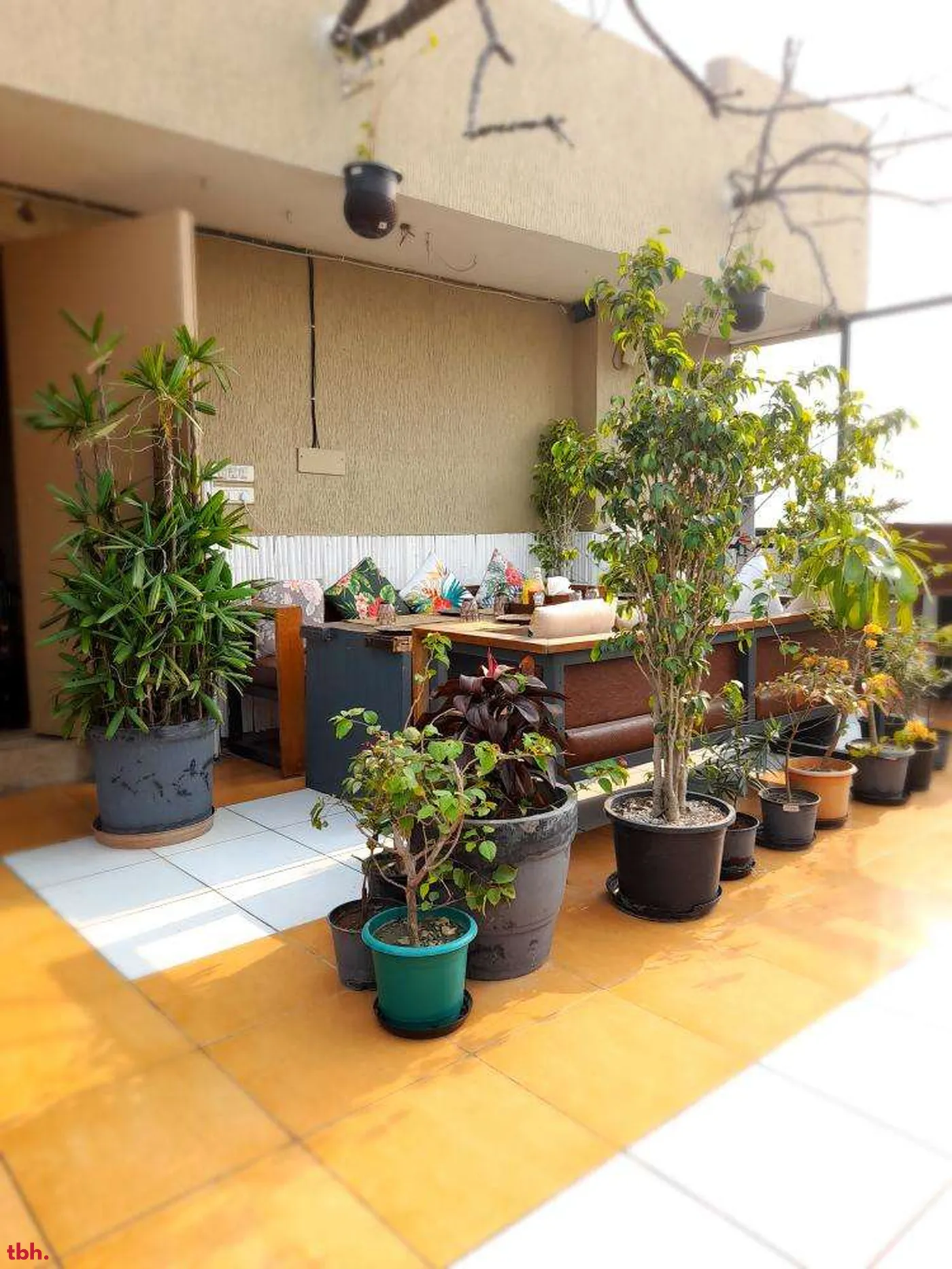 Kaffiiaa - The Italian Kitchen Outlet Image