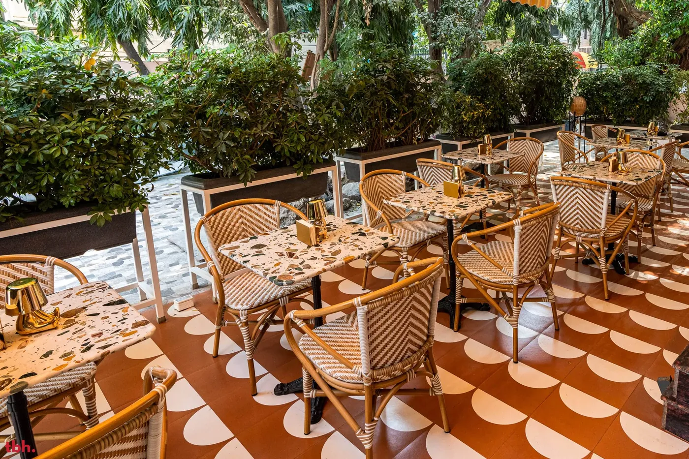 Bean & The Bear Outlet Image