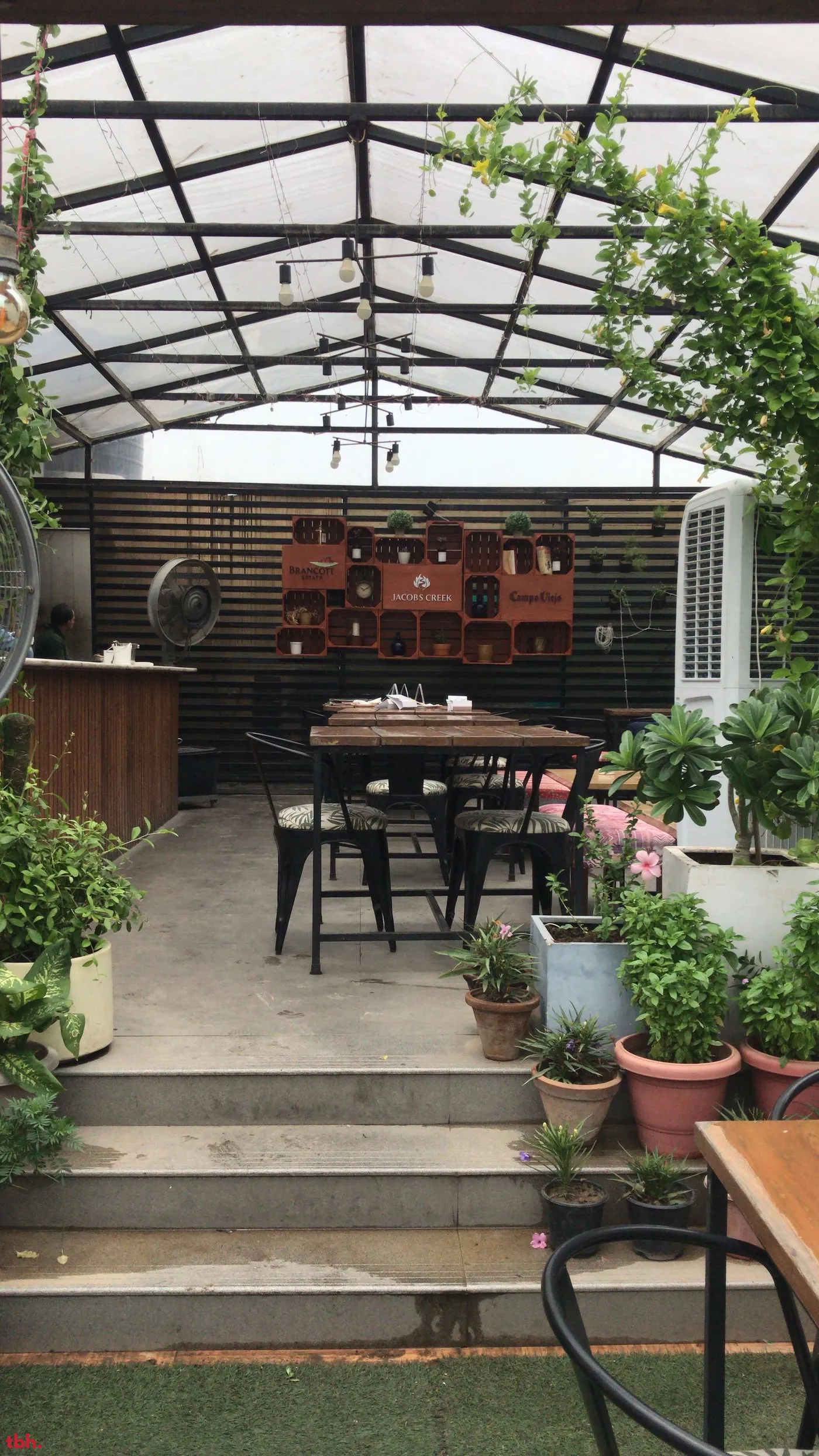 Fig & Maple Outlet Image