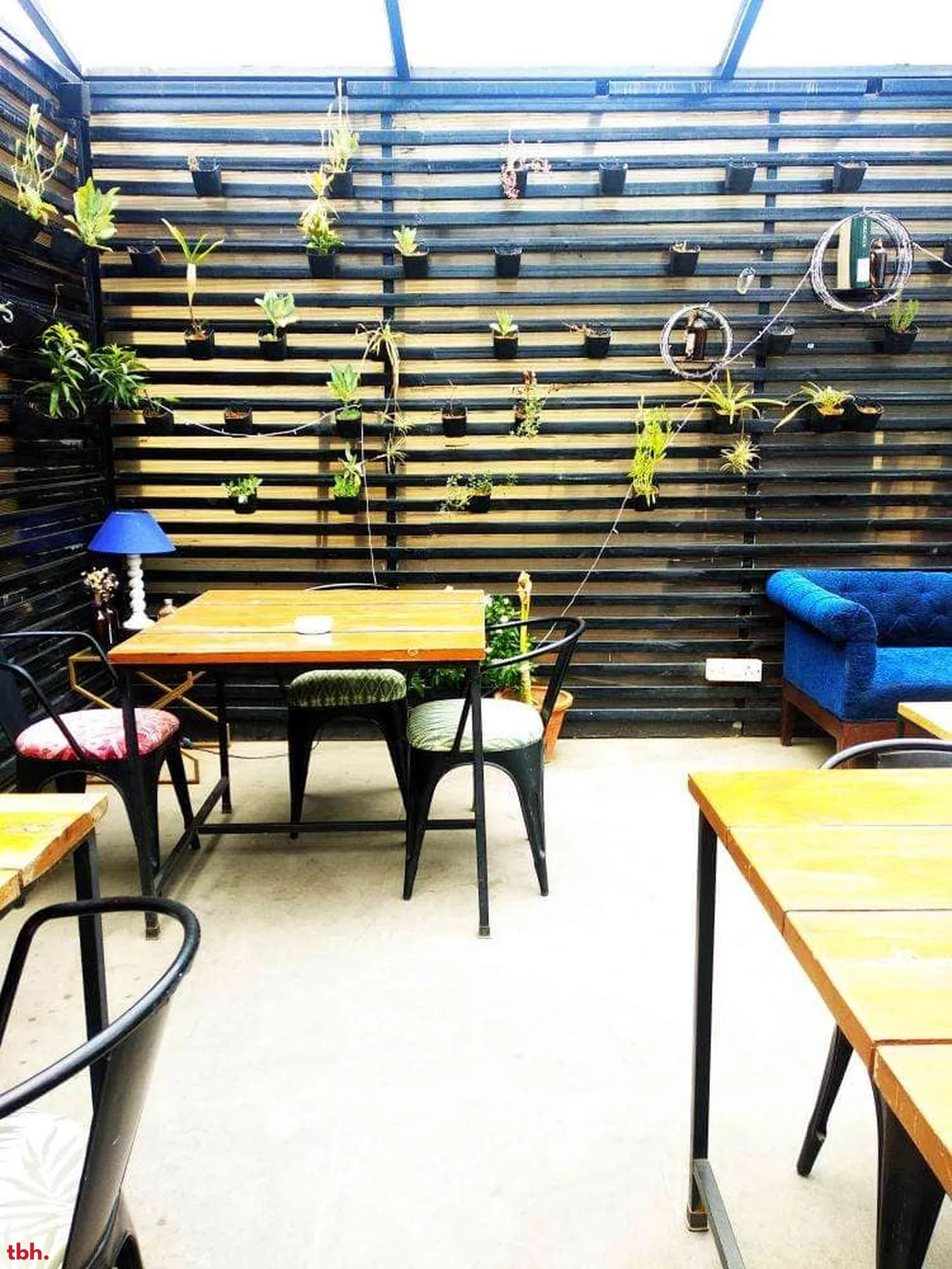 Fig & Maple Outlet Image