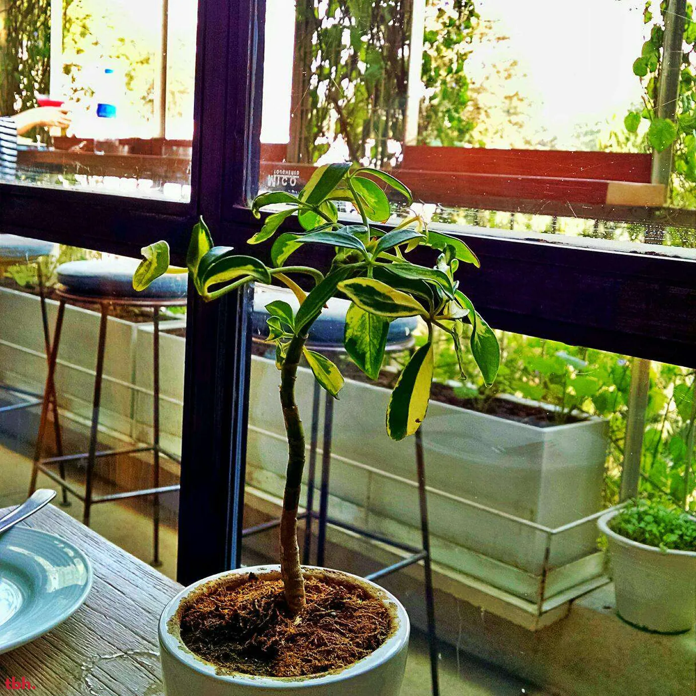 Coast Cafe Outlet Image