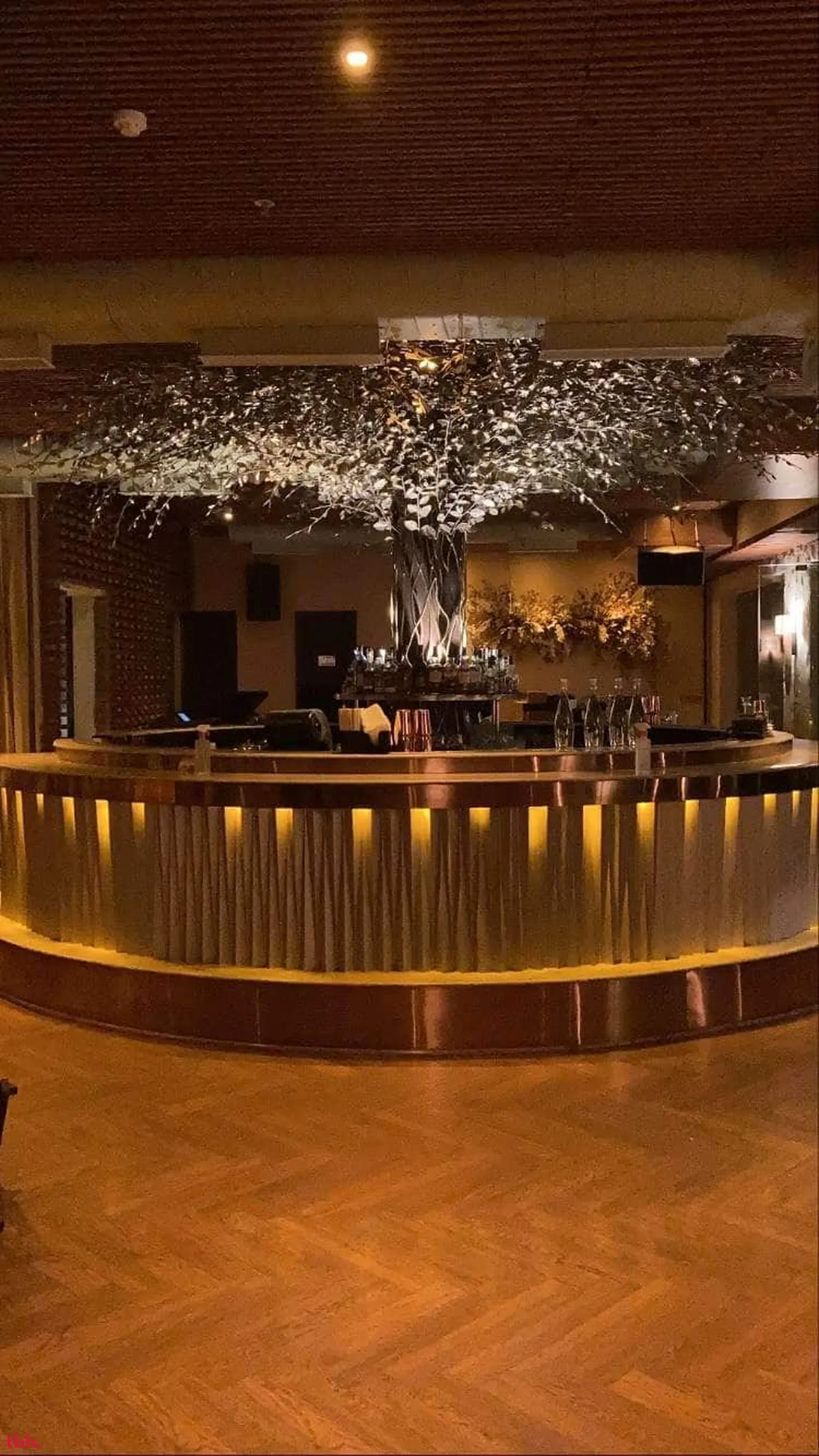 Dear Donna Outlet Image