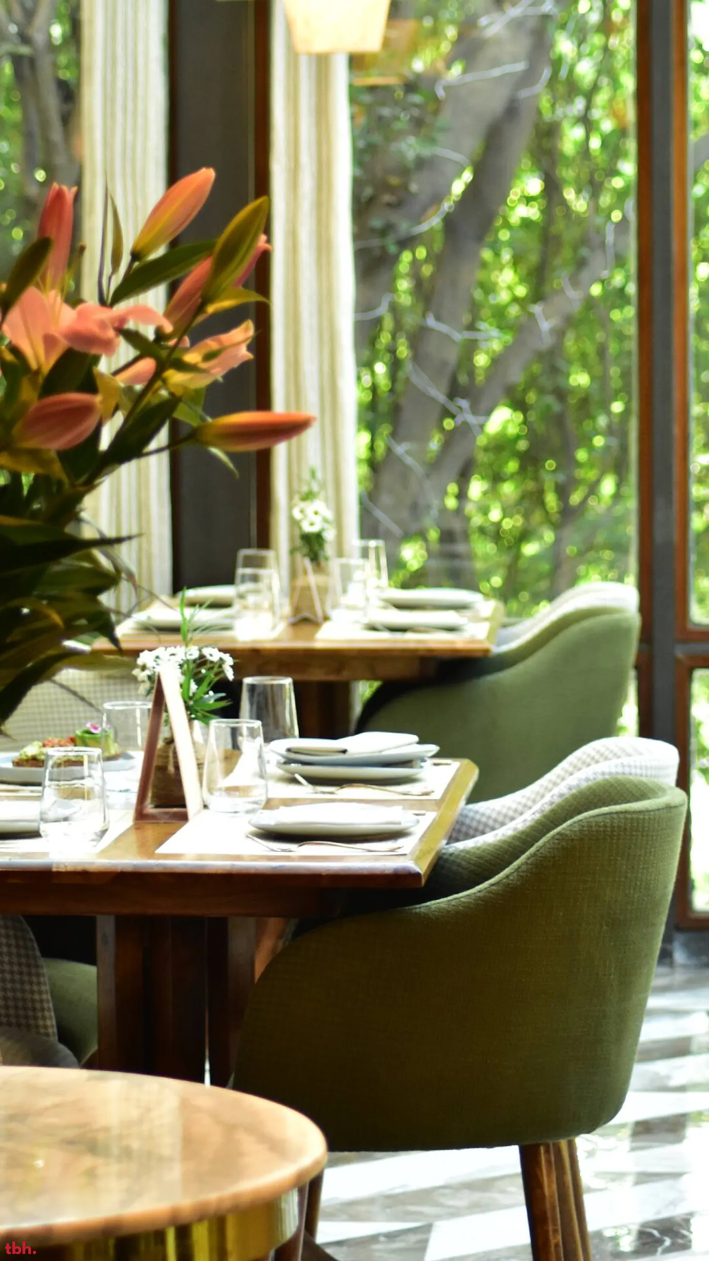 Dear Donna Outlet Image