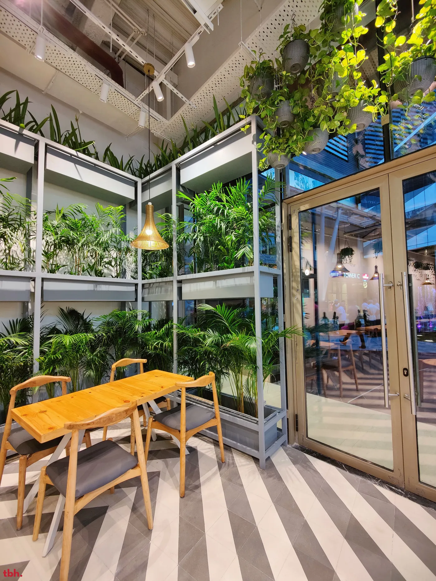 Alma Bakery And Cafe Outlet Image