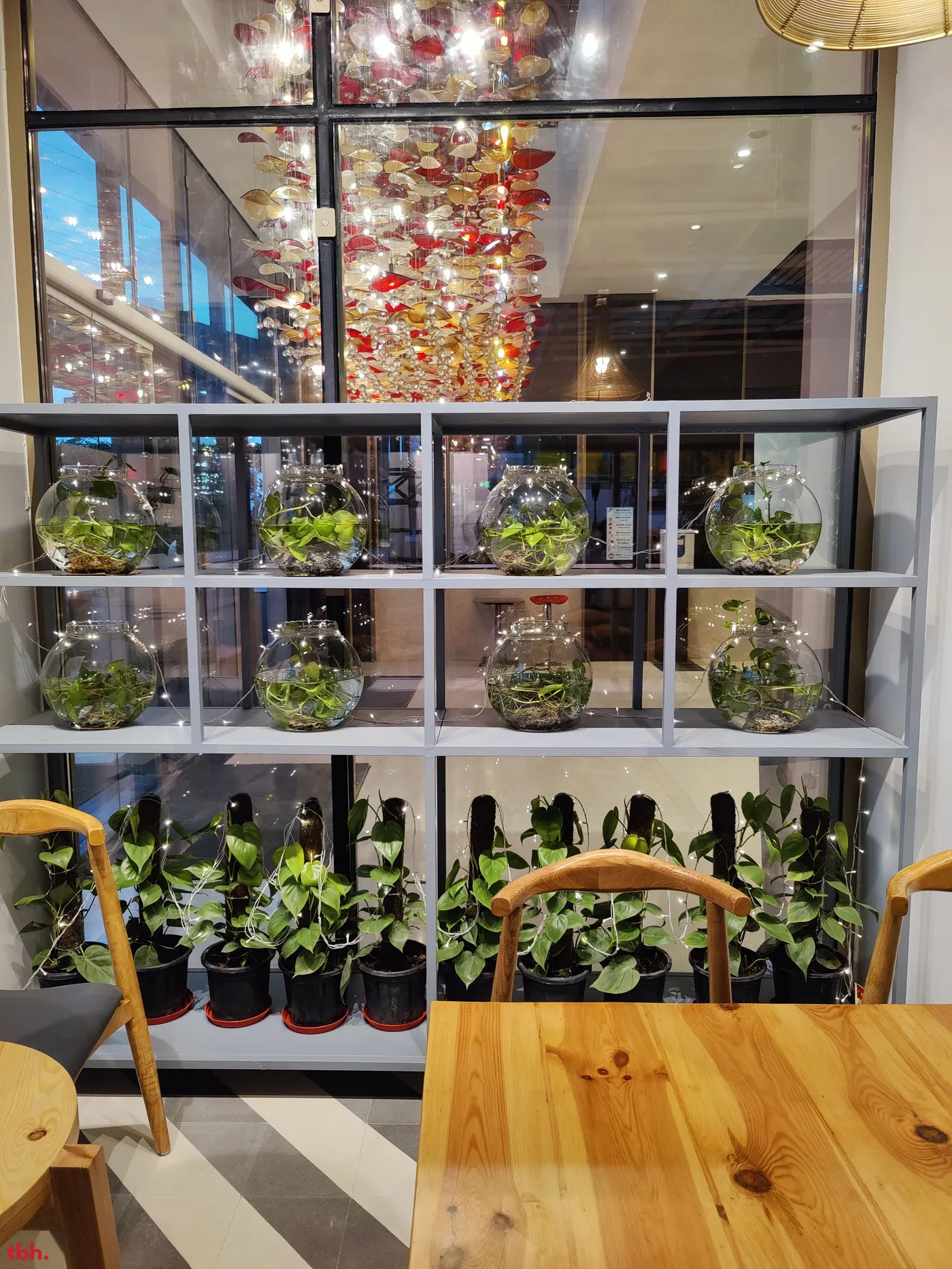 Alma Bakery And Cafe Outlet Image