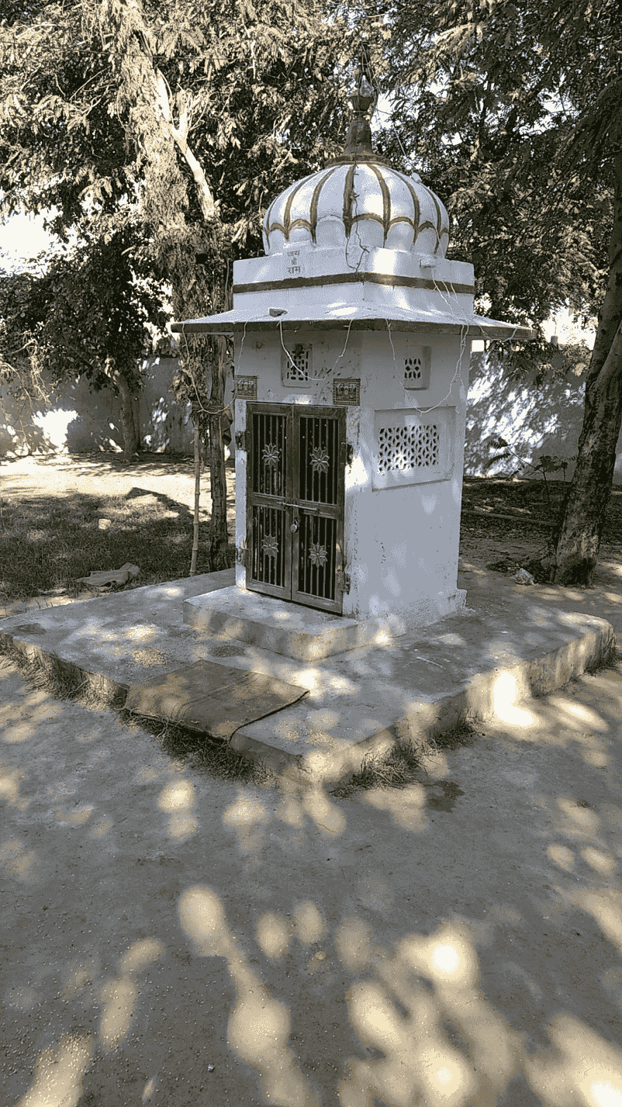 Veer Hanuman Temple temple image