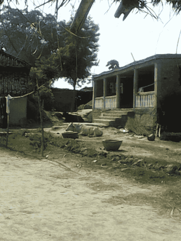 Sai Temple temple image