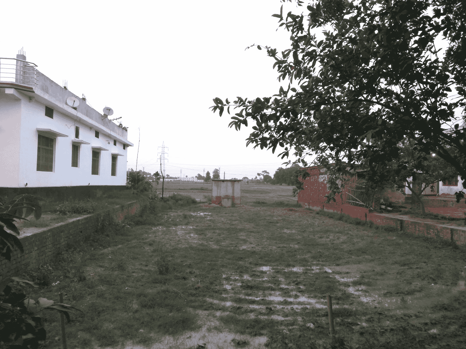 Khamhua Temple temple image