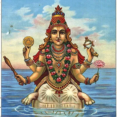 Kurma Image