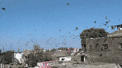 Radha Krishna Temple