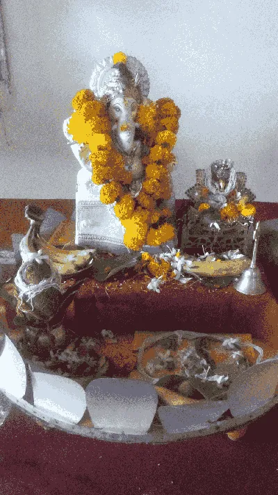 ShivOm Tirth Guru Shudha Mahayoug Ashram