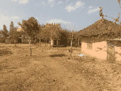 जय बाबेरी