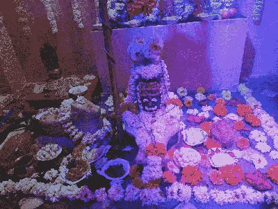 Someshwar Mahadev temple image