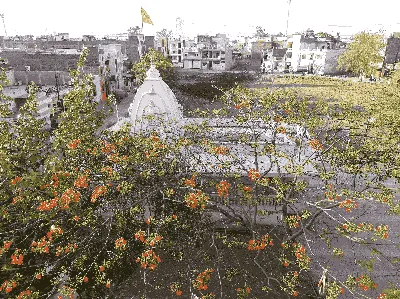 shiv mandir temple image