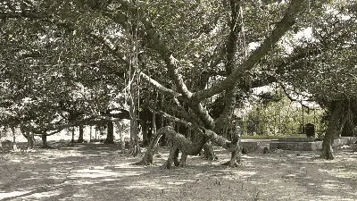 Salampur Hanuman Mandir