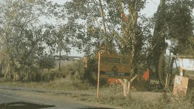 Shree Atal Hanuman Temple Raisalpur