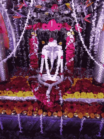 KALESHWAR DHAM temple image