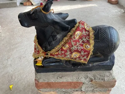 Nikunjeshwar Shiv Temple temple image