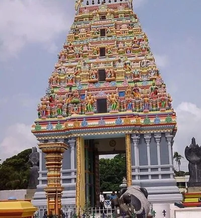 Vishnudham Mandir temple image