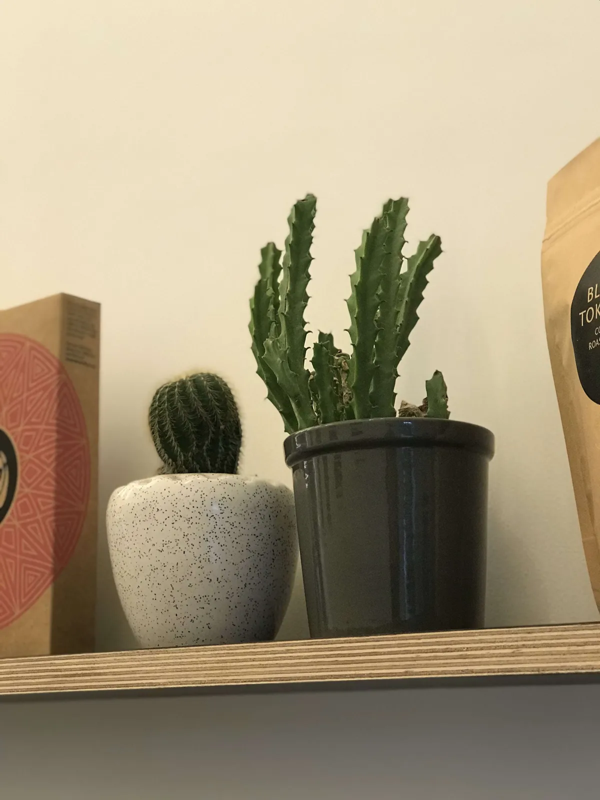 Blue Tokai Coffee Roasters Outlet Image