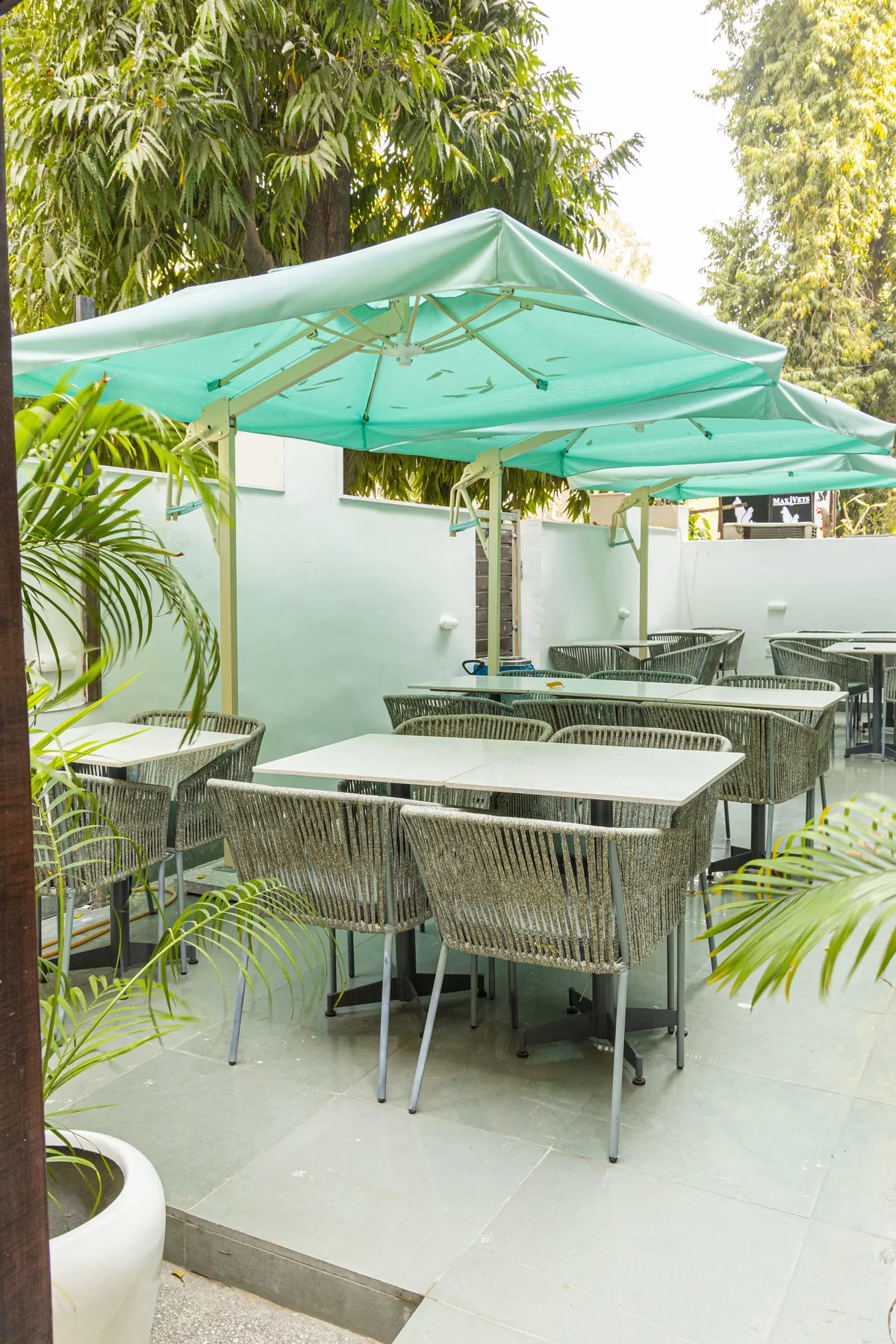 Blue Tokai Coffee Roasters outlet image