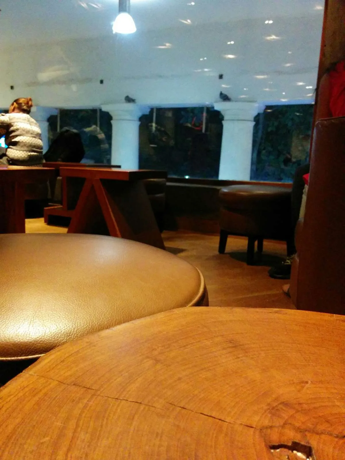 Starbucks Coffee Outlet Image