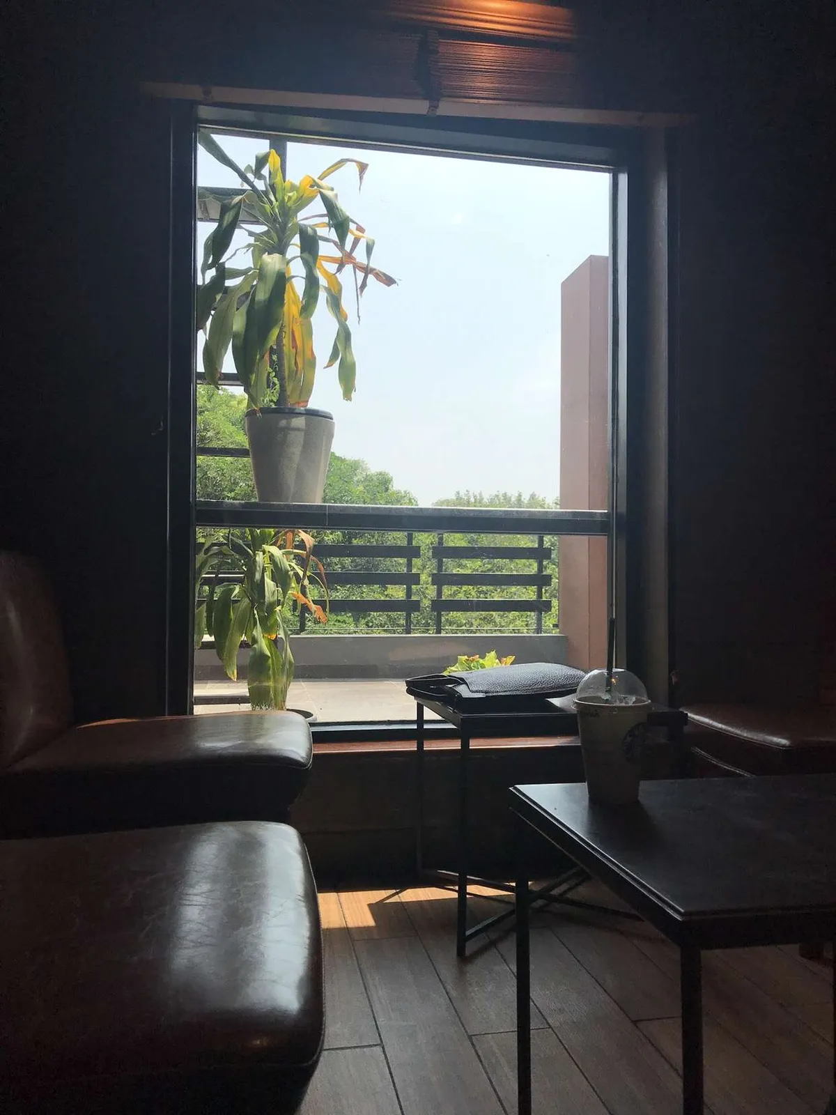 Starbucks Coffee Outlet Image