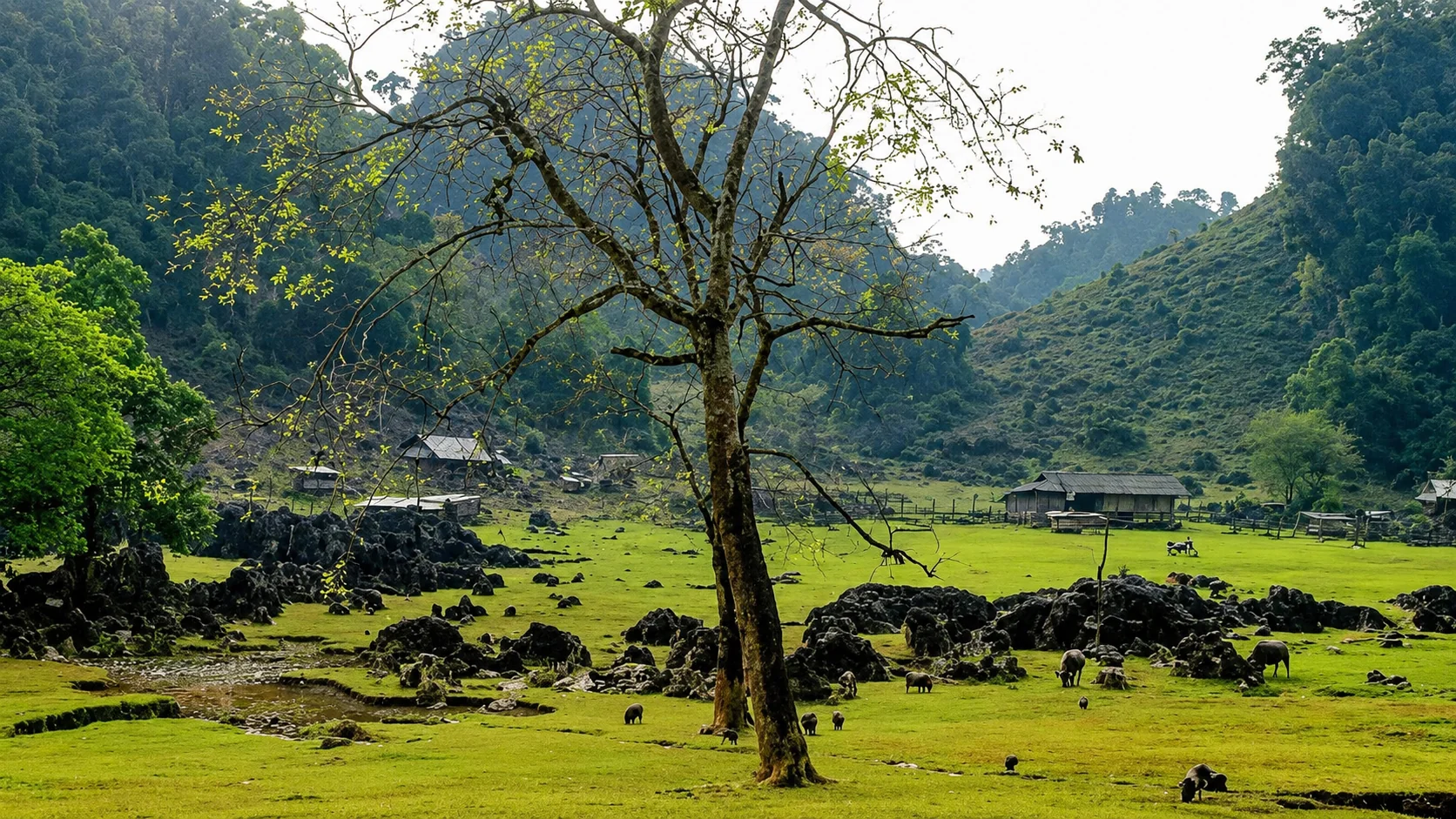 Phong thủy ngoại cảnh hài hòa nhà ở