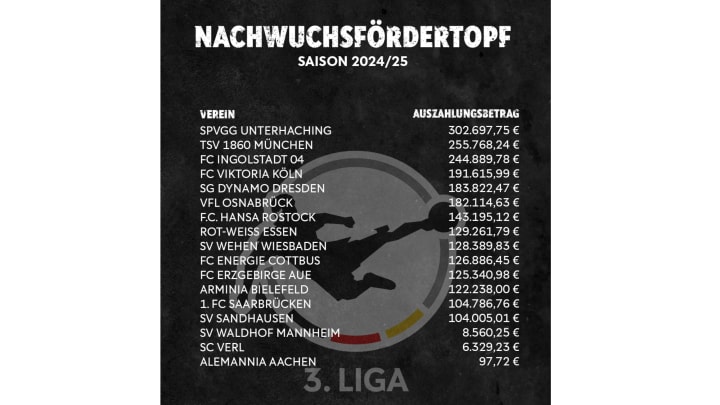 Nachwuchsfoerdertopf 3. Liga, Grafik