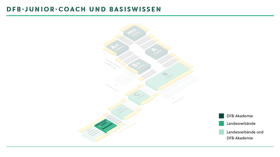 DFB-Junior-Coach und Basiswissen. © 2021 DFB