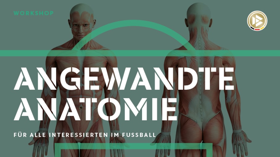 Workshop Anatomie