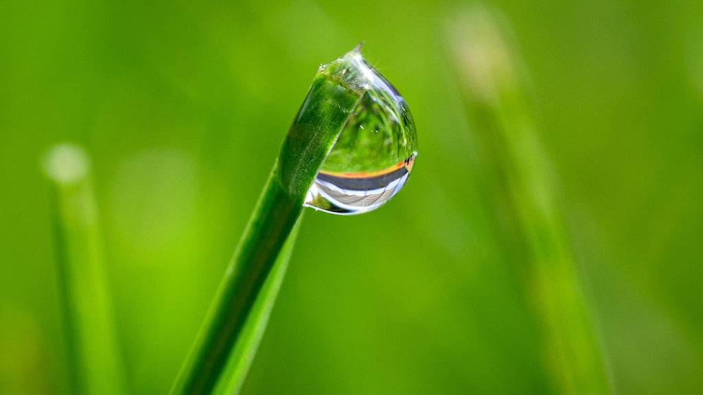 SAARBRÜCKEN, GERMANY - AUGUST 5: General view inside the stadium with rain drops on the gras ahead of the Second Bundesliga match between SV Elversberg and F.C. Hansa Rostock at Ludwigsparkstadion on August 5, 2023 in Saarbrücken, Germany. (Photo by Lukas Schulze/Bundesliga/Bundesliga Collection via Getty Images)