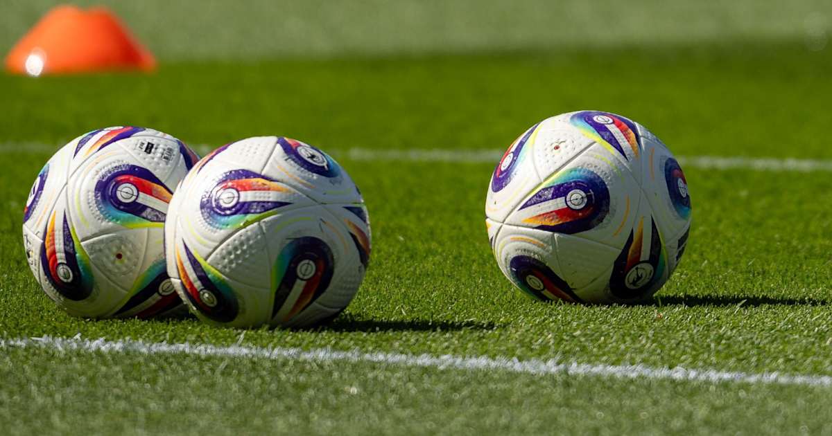 Leckerli-Ball-Futterspielzeug, hängendes Karotten-Futterspielzeug, interaktiver Heu-Futterball, kreativer Leckerli-Spender für Ziegen, Schafe, Paddock-Ruhe, Stressabbau Leckerli-Ball-Futterspielzeug, hängendes Karotten-Futterspielzeug, interaktiver Heu-Futterball, kreativer Leckerli-Spender für Ziegen, Schafe, Paddock-Ruhe, Stressabbau