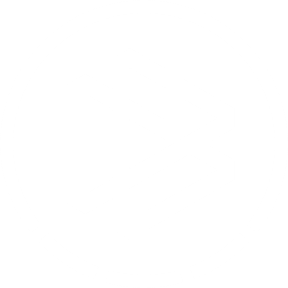 DFB Logo
