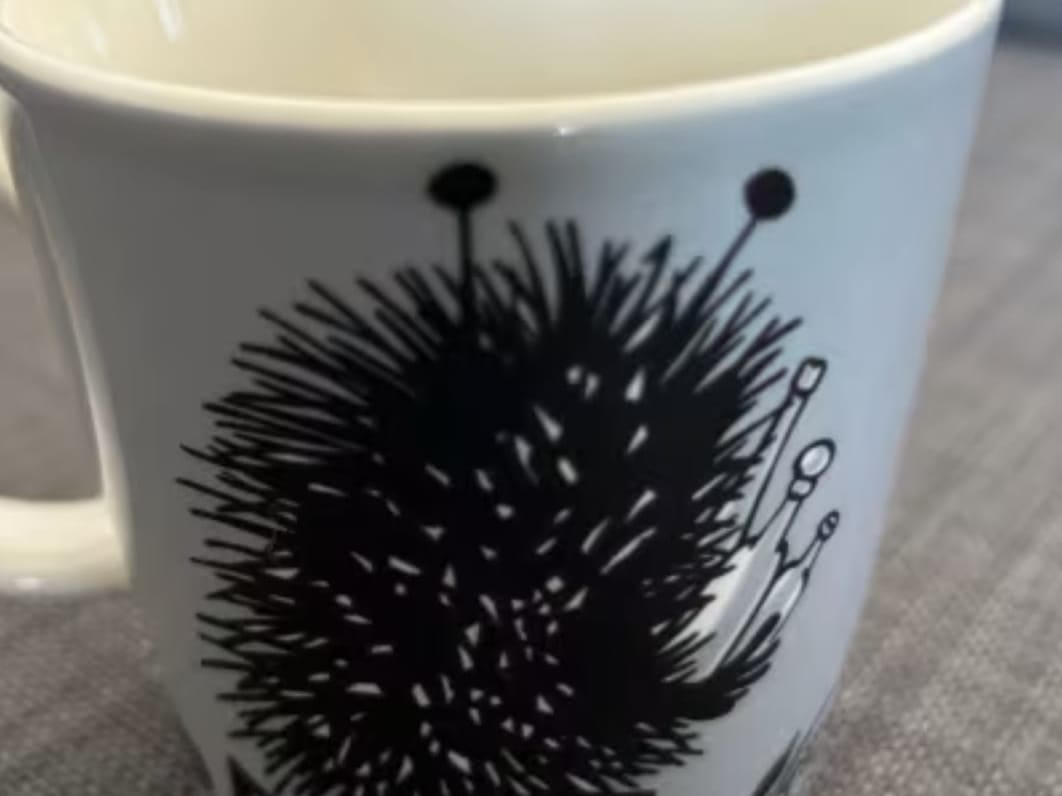 Thumbnail a93384213f1bc66a458ee5d951e3b8f9