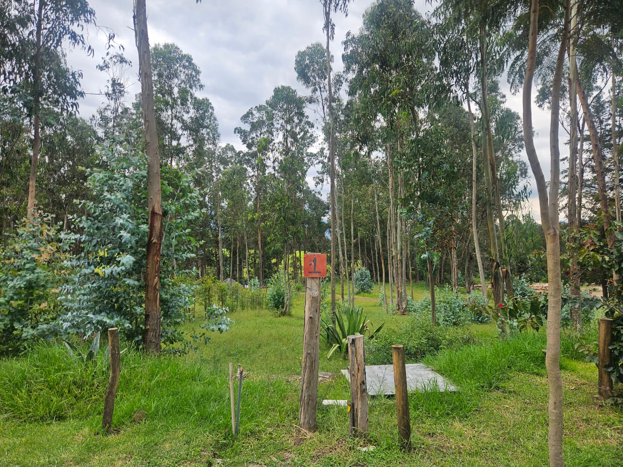 Urbanizacion BOSQAL - Chiviqui - Tumbaco - Quito