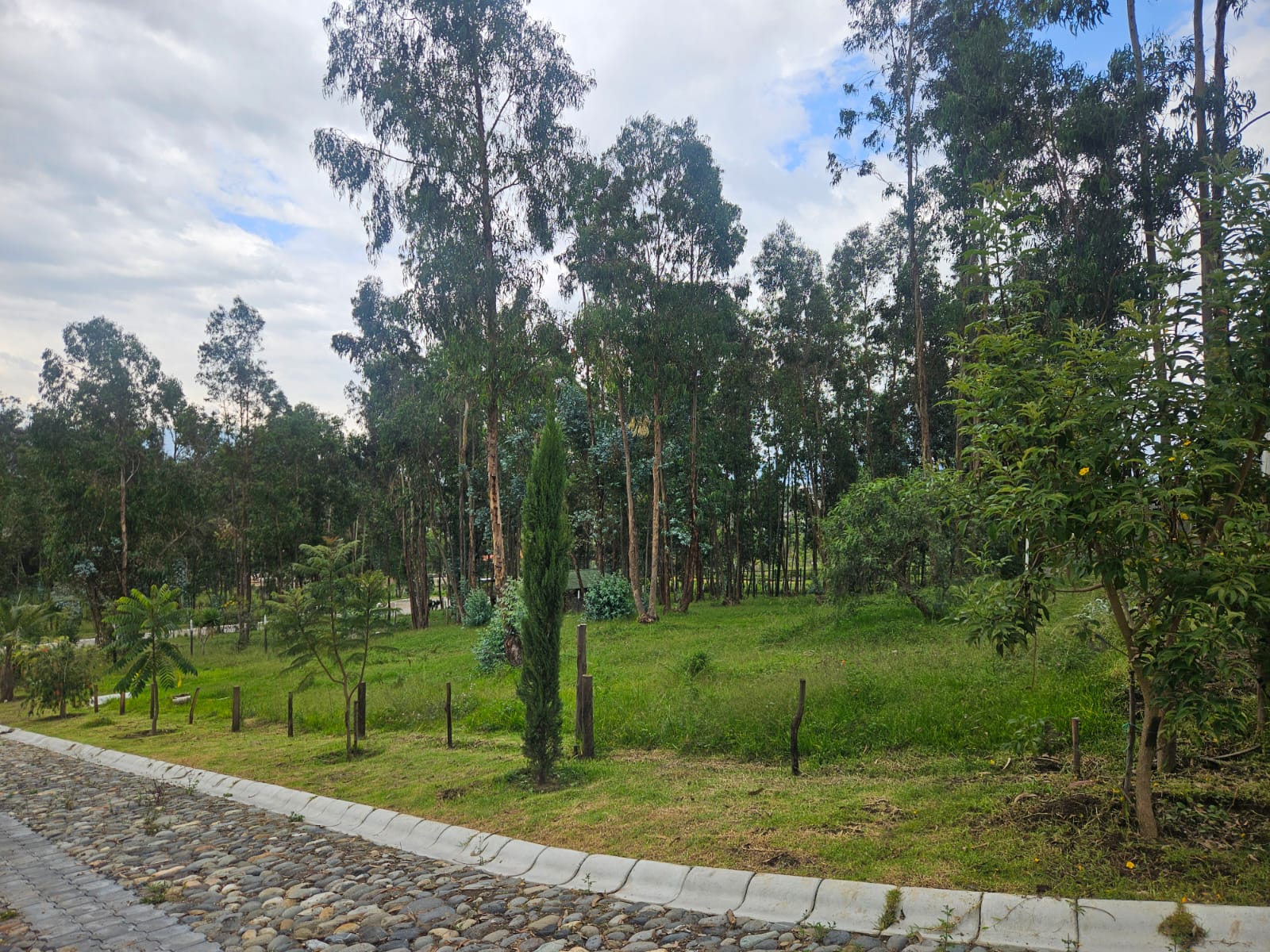 Urbanizacion BOSQAL - Chiviqui - Tumbaco - Quito