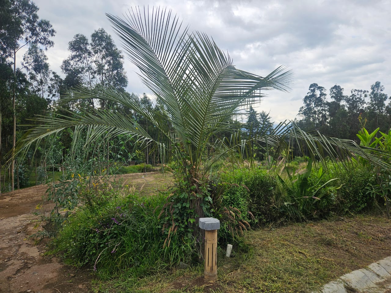 Urbanizacion BOSQAL - Chiviqui - Tumbaco - Quito