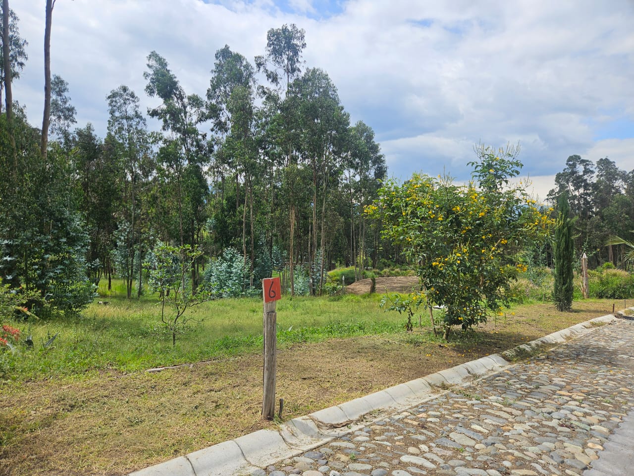 Urbanizacion BOSQAL - Chiviqui - Tumbaco - Quito