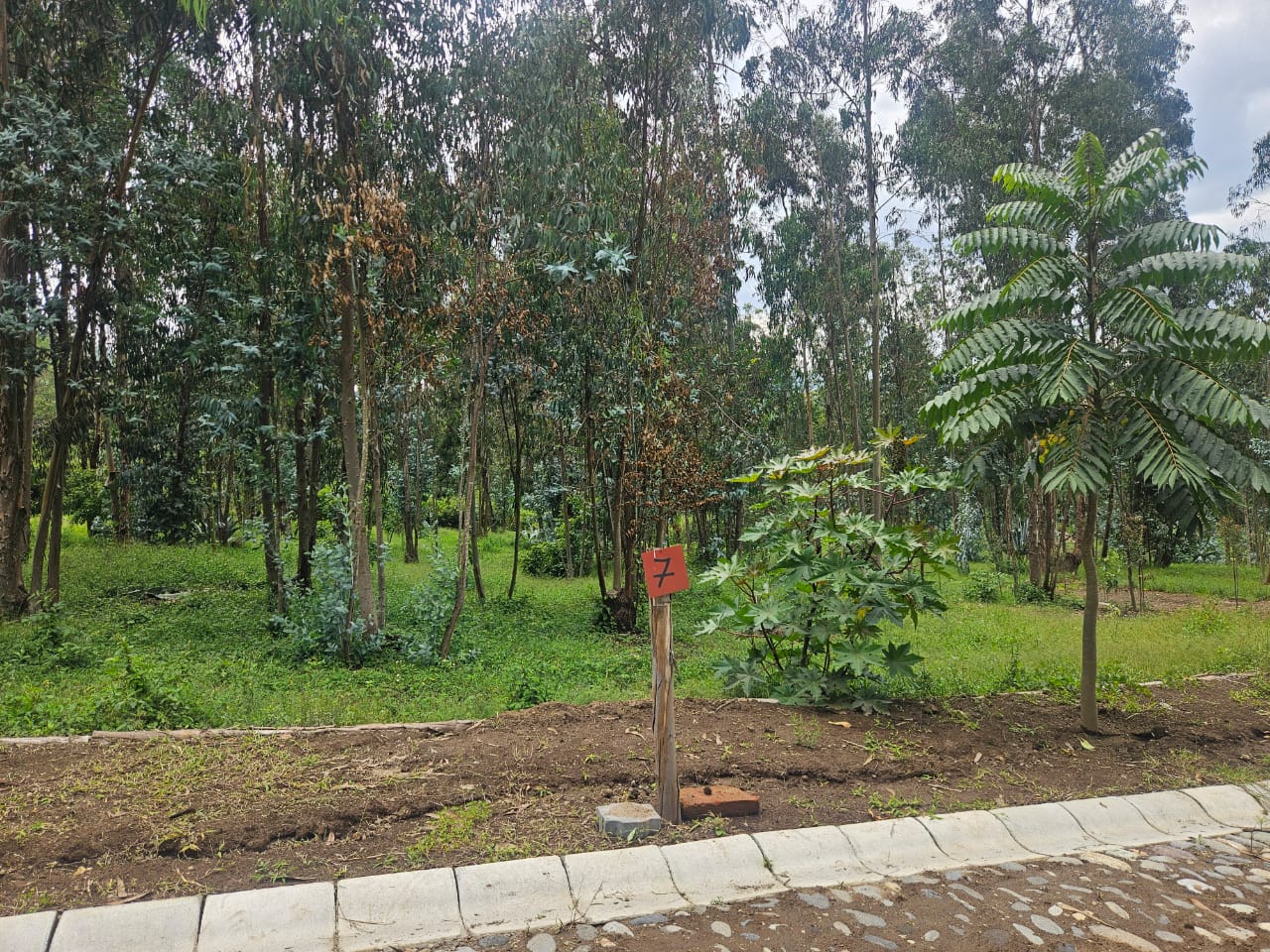 Urbanizacion BOSQAL - Chiviqui - Tumbaco - Quito